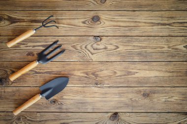 Bahçe aletleri ve ahşap masa üzerinde bitki bakım aletleri seti, üst görünüm, bahçe bakım peyzajı ve hobi konsepti.