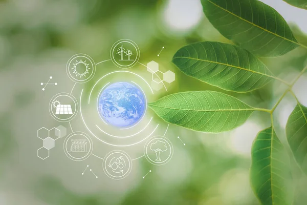 Blue globe  with icons energy sources for renewable, sustainable development. Environmental technology, ecological concept. Elements of this image furnished by NASA.