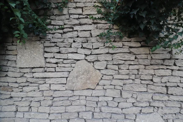 Старая Каменная Стена Зеленым Плющом Висит Сверху — стоковое фото