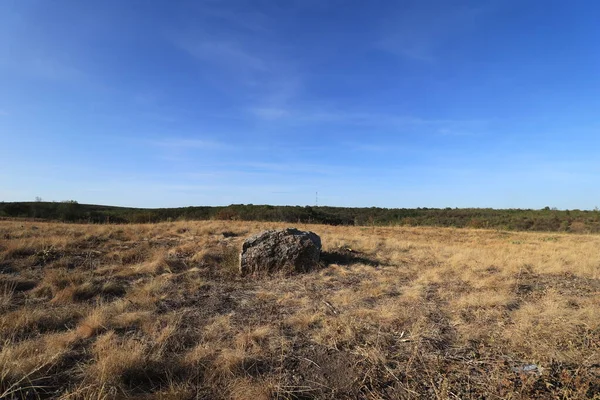 Duży Głaz Suszonej Żółtej Trawie Pod Błękitnym Niebem — Zdjęcie stockowe