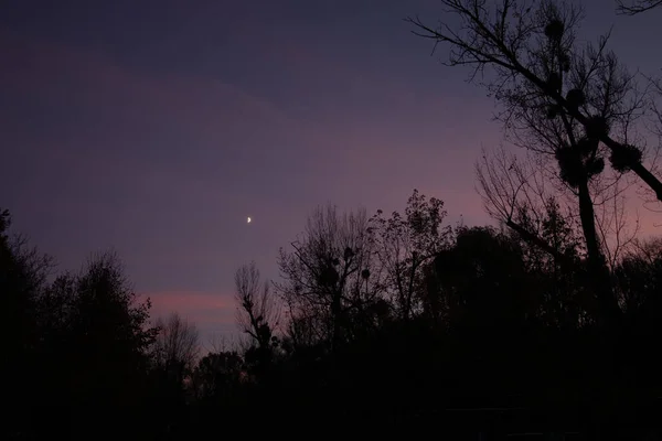 Heller Sonnenuntergang Himmel Blau Mit Rosa Streifen Über Dunklen Silhouetten — Stockfoto