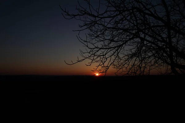 Červený Západ Slunce Rudé Slunce Nad Obzorem Větve Stromů Pozadí — Stock fotografie