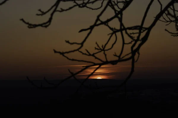 Červený Západ Slunce Rudé Slunce Nad Obzorem Větve Stromů Pozadí — Stock fotografie