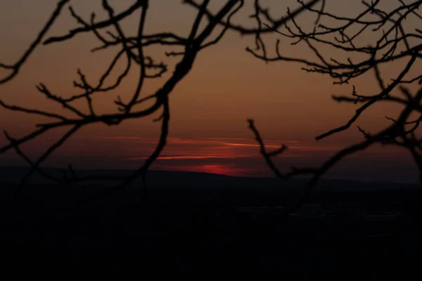 Červený Západ Slunce Rudé Slunce Nad Obzorem Větve Stromů Pozadí — Stock fotografie
