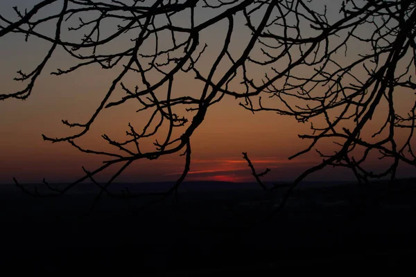 Tramonto Rosso Sole Rosso Oltre Orizzonte Rami Albero Sullo Sfondo — Foto Stock