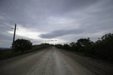 Ağaçların arasındaki beyaz kum yolu. Video gri bulutlu gökyüzü.