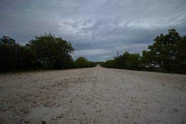 Ağaçların arasındaki beyaz kum yolu. Video gri bulutlu gökyüzü.