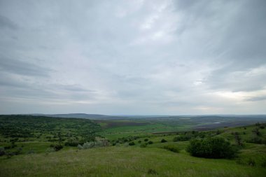 Yazın başında bulutlu bir gökyüzünün altında yeşil güzel çayırlar.