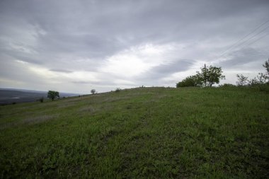 Yazın başında bulutlu bir gökyüzünün altında yeşil güzel çayırlar.