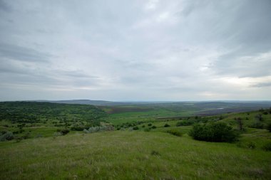 Yazın başında bulutlu bir gökyüzünün altında yeşil güzel çayırlar.