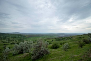 Yazın başında bulutlu bir gökyüzünün altında yeşil güzel çayırlar.