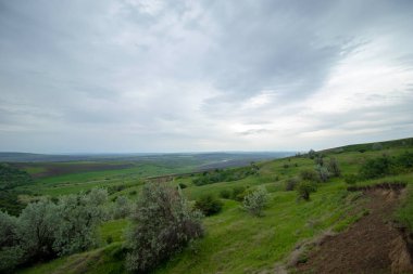 Yazın başında bulutlu bir gökyüzünün altında yeşil güzel çayırlar.