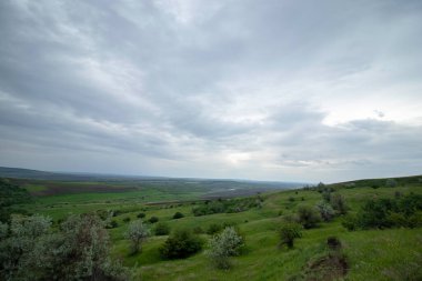 Yazın başında bulutlu bir gökyüzünün altında yeşil güzel çayırlar.