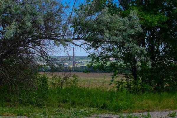 Widok Miasto Przez Zielone Krzewy Wzgórza — Zdjęcie stockowe