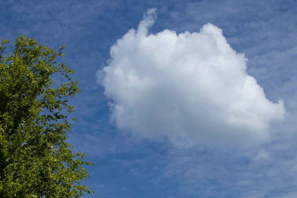 White Fluffy Clouds Sunny Day Blue Sky Summer Day — Stock Photo, Image