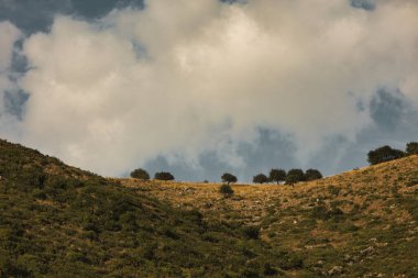Arnavutluk 'un Vlor kenti yakınlarındaki dağ manzarası 17.08.25' te ele geçirildi. Yumuşak öğleden sonra ışığı kıvrımlı çıkıntıları ve yumuşak yamaçları vurgular.