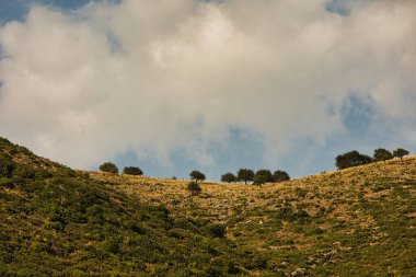 Arnavutluk 'un Vlor kenti yakınlarındaki dağ manzarası 17.08.25' te ele geçirildi. Yumuşak öğleden sonra ışığı kıvrımlı çıkıntıları ve yumuşak yamaçları vurgular.