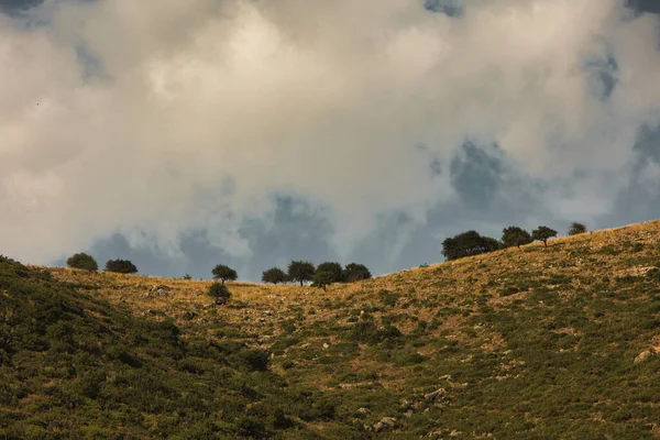 Arnavutluk 'un Vlor kenti yakınlarındaki dağ manzarası 17.08.25' te ele geçirildi. Yumuşak öğleden sonra ışığı kıvrımlı çıkıntıları ve yumuşak yamaçları vurgular.