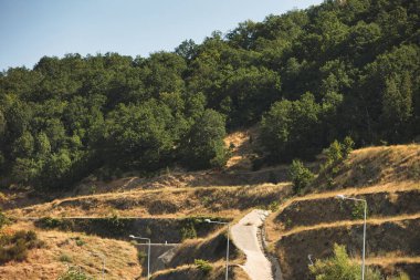 Kuru altın çimleri ve yeşil ağaçlarla kaplı güneşli bir yamaçta dolambaçlı bir toprak yol ve yol kenarı altyapısı yükseliyor..