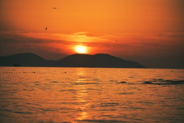 Vlora, Arnavutluk 21 Ağustos 2025. Adriyatik Denizi 'nin üzerinde sakin bir günbatımı. Sıcak altın ışık, yumuşak dalgalar ve uzak dağ siluetleri arasında yansıyor..