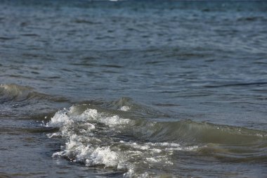 Arnavutluk 'un Vlora kenti Ağustos 2025' te kıyı kenti ve arka planda görünen yeşil Vlora dağlarıyla birlikte kıyıya doğru yumuşak dalgalar akmaktadır. Sahne, açık bir yaz gününde denizin sakin hareketini yakalar..