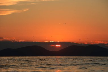 Altın gün batımı ışığı, 24 Ağustos 2025 'te Arnavutluk' un Vlora kentindeki yumuşak deniz dalgalarını yansıtarak yumuşak dalgalar ve uzak dağ siluetleriyle sıcak ve sakin bir kıyı atmosferi yaratıyor..