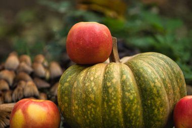 Taze sonbahar hasadı, yerde kırmızı elmalarla çevrili yeşil bir balkabağıyla hayat dolu. Doğal arka planı olan mevsimlik sonbahar kompozisyonu