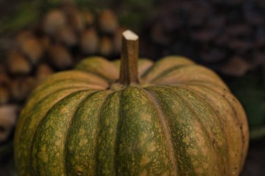 Sonbahar balkabağı, orman bahçesinde yapraklar ve yabani mantarlarla kaplı yerde dinleniyor. Mevsimlik hasat, doğal toprak tonlarıyla hayat, sonbahar, Şükran Günü ve kırsal temalar için mükemmel..