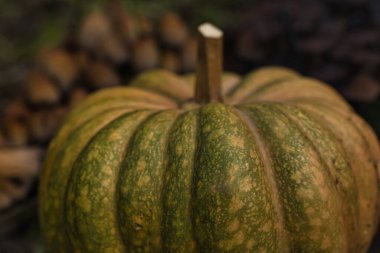 Sonbahar balkabağı, orman bahçesinde yapraklar ve yabani mantarlarla kaplı yerde dinleniyor. Mevsimlik hasat, doğal toprak tonlarıyla hayat, sonbahar, Şükran Günü ve kırsal temalar için mükemmel..