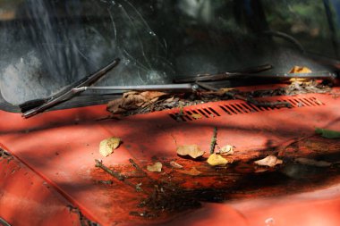 moldova, chisinau, 14.09.25. Terk Edilmiş Kırmızı Vintage Araba Doğada Unutuldu