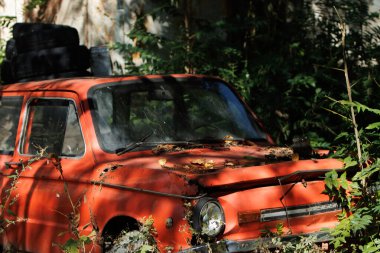 moldova, chisinau, 14.09.25. Terk Edilmiş Kırmızı Vintage Araba Doğada Unutuldu