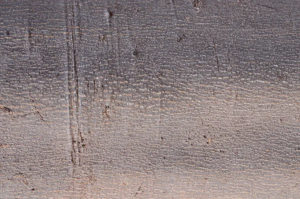 Baumrinde Textur Abstrakter Hintergrund — Stockfoto
