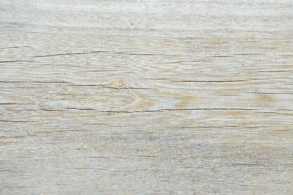 Old Wood Cracked Texture Mold — Stock Photo, Image