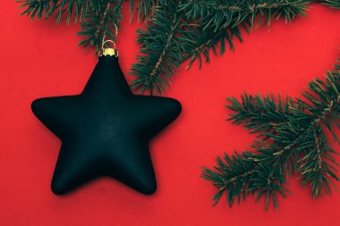 Siyah noel yıldızı ve kırmızıda her zaman yeşil dal