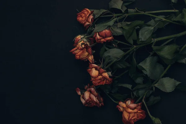 Bos van kleine droge rozen op zwarte achtergrond — Stockfoto