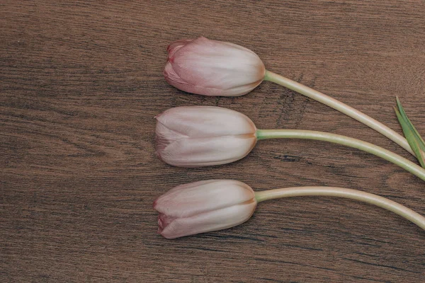 Drie sierlijke witte roze tulpen op houten ondergrond — Stockfoto