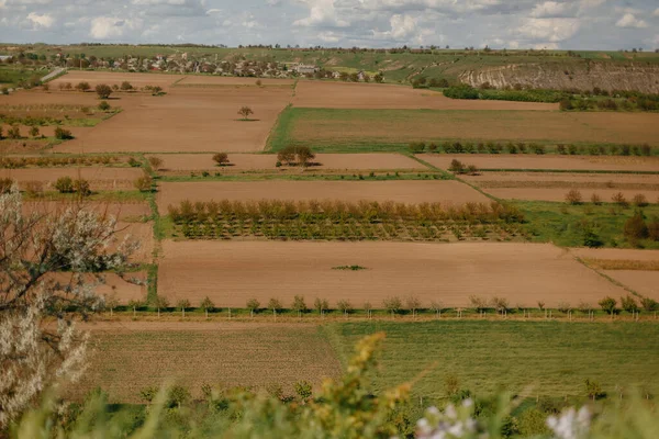 Léto v Moldavsku. jasně zelená krásná krajina — Stock fotografie