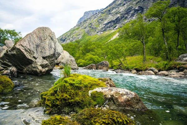 The river at the foot of the mountain surrounded by forest . — Stock Photo, Image