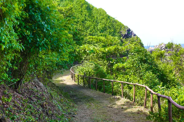 Sentier avec balustrades le long des Montagnes Vertes — Photo