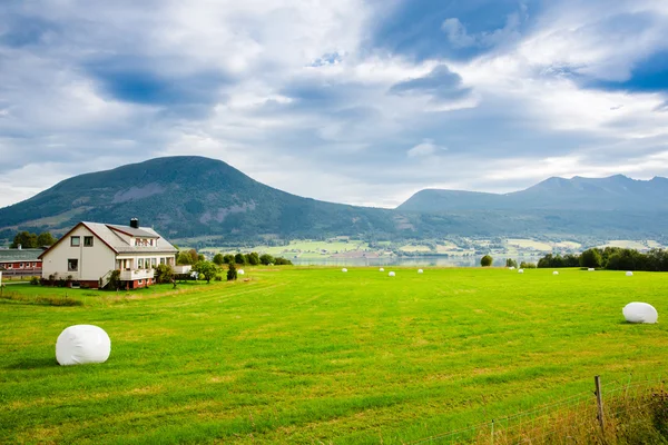 Widok na fiord i zielonych pól w Norwegii — Zdjęcie stockowe