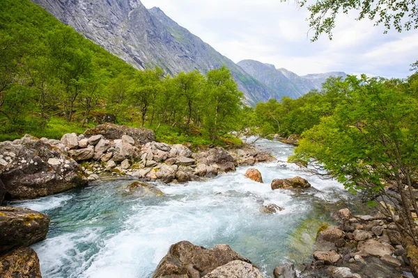 La rivière au pied de la montagne entourée de forêt  . — Photo