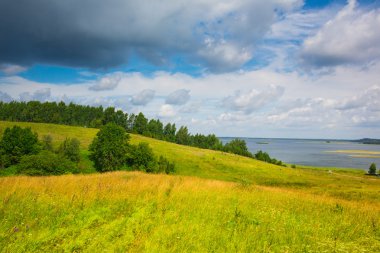 Göl, orman, alan, büyük bulutlar