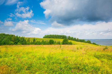 Göl, orman, alan, büyük bulutlar