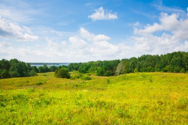 Göl, orman, alan, büyük bulutlar