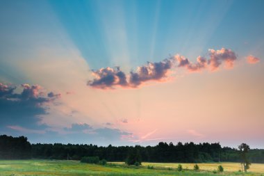 Güneş ışınları sabah arka plan üzerinde