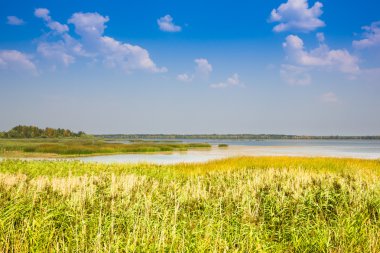Güzel yaz manzara mavi gökyüzü ve göl ile
