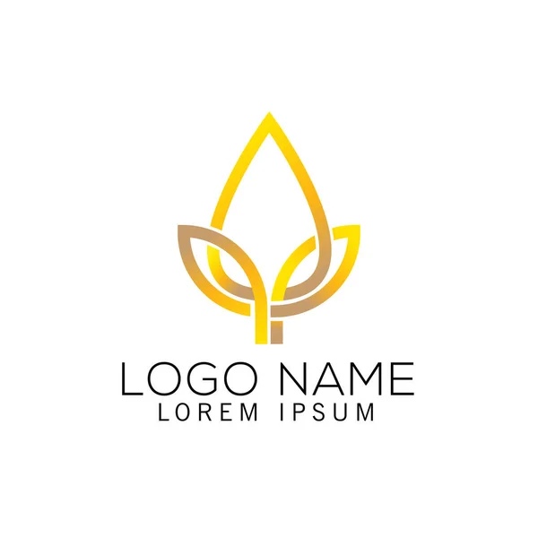 Logo Feuille Luxe Icône Conception Symbole Moderne Modèle Élégant — Image vectorielle