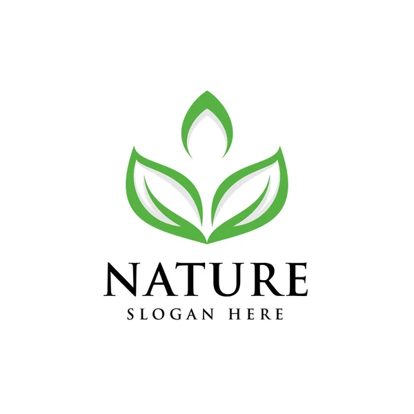 Green Nature Leaf Logo Template Vector Icon Logotype Symbol Modern — Stock Vector