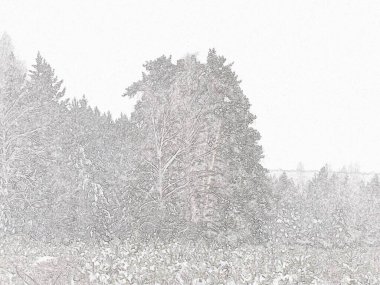 Resimli bir kış günü. Güzel kış manzarası. Güneşli bir günde karışık orman. Karla kaplı ormanlık arazide.