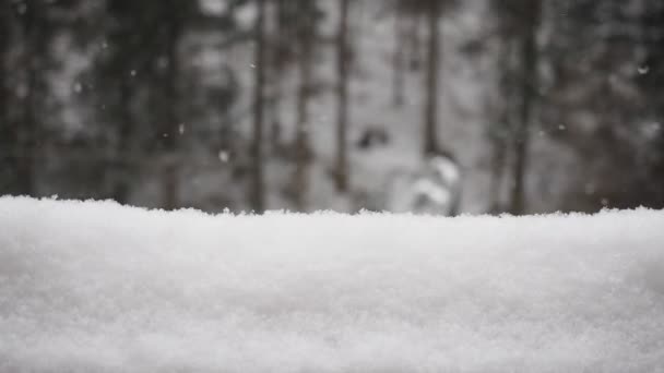 雪と雪のドリフト スローモーションHdビデオ 森の中で雪が降る 前景の木製の手すりに水平方向の雪のドリフト 背景がぼやけている — ストック動画